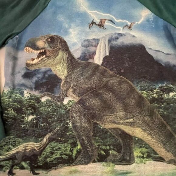 BOY’S sz 8 2-piece Wonder Nation glow in the dark green dinosaur fleece pajamas - Picture 9 of 15